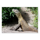 Suche nach komodo drache Natur