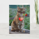 Suche nach luv postkarten Spaß