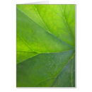 Suche nach adern postkarten Natur