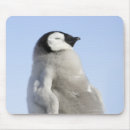 Suche nach baby pinguin mousepads Pinguine
