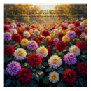 Suche nach chrysantheme poster Blume