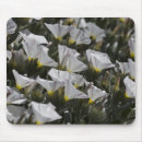 Suche nach weiße wildblumen mousepads Blumenreich