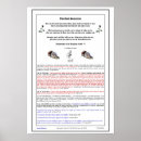 Suche nach samariter poster Jesus