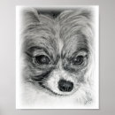 Suche nach papillon poster Hunde