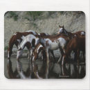 Suche nach malen sie pferde mousepads Gruppe