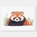 Suche nach roter panda magnete Tier
