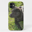 Suche nach schwarze schafe iphone hüllen Schäfer