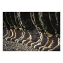 Suche nach schießstand poster Armee
