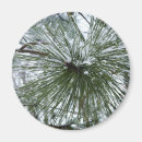 Suche nach nadeln magnete Natur