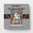 Suche nach hundedenkmal fotoplatten Tierverlust