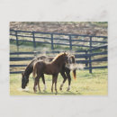 Suche nach tierfamilie postkarten Horizontal