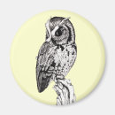 Suche nach eule magnete Vögel