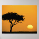 Suche nach baum silhouette poster Single