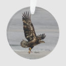 Suche nach falke schmuck Falken