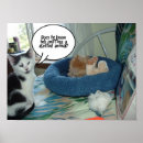 Suche nach schwarz weiße katze poster Niedlich