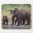 Suche nach grizzlybär mousepads Fleischfresser