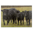 Suche nach kühe schneidebrettchen Kalb