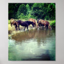 Suche nach trinkwasser poster Natur