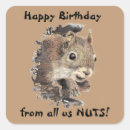 Suche nach nuss mit eichhörnchen aufkleber Spaß