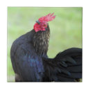 Suche nach vieh fliesen Tier