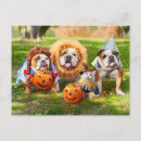 Suche nach halloween Lustig