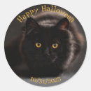 Suche nach böse katze aufkleber Beängstigend