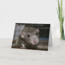 Suche nach ratte karten Tierisch