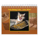 Suche nach katze kalender Lustige katzen