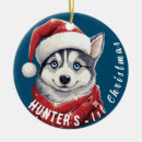 Suche nach sibirischer husky ornamente Für haustiere
