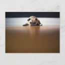 Suche nach süßer welpe postkarten Hund