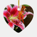 Suche nach lily ornamente Grün