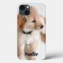 Suche nach vorlage iphone hüllen Katze