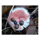 Suche nach snail poster Im freien