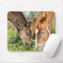 Suche nach weide mousepads Kalb