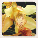 Suche nach orchid untersetzer Blume