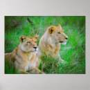 Suche nach botswana poster Safari