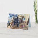 Suche nach merlin karten Foto