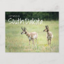 Suche nach south dakota postkarten Reisen