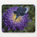 Suche nach lustige elefanten mousepads Albern