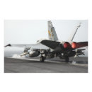 Suche nach hornissen poster Flugzeuge