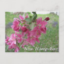 Suche nach rosa apfel postkarten Baum