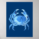 Suche nach krabbe poster Marineblau