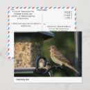 Suche nach feeder postkarten Vogelvogel