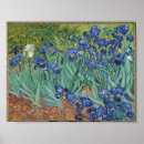 Suche nach famous paintings poster Vincent van gogh