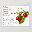 Suche nach emily postkarten Poesie