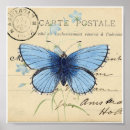Suche nach vintager schmetterling poster Blau