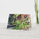 Suche nach wildkatze karten Panther