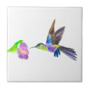 Suche nach kolibris untersetzer Aquarell