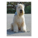 Suche nach wheaten Hunde