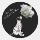 Suche nach riechen aufkleber Rose